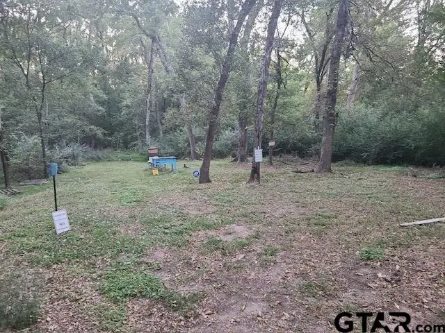 686 Eastshore Drive, Wills Point, TX 75169 - Image #2