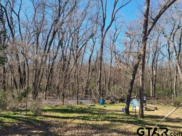 686 Eastshore Drive, Wills Point, TX 75169 - Image #3