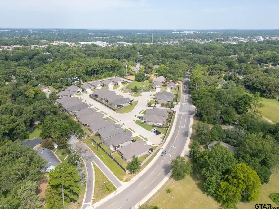 719 Cambridge Bend Cir, Tyler, TX 75703 - Image #3