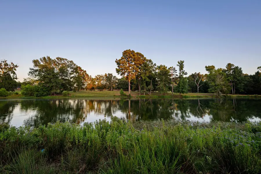 12701 FM 2010, Chandler, TX 75758 - Image #2