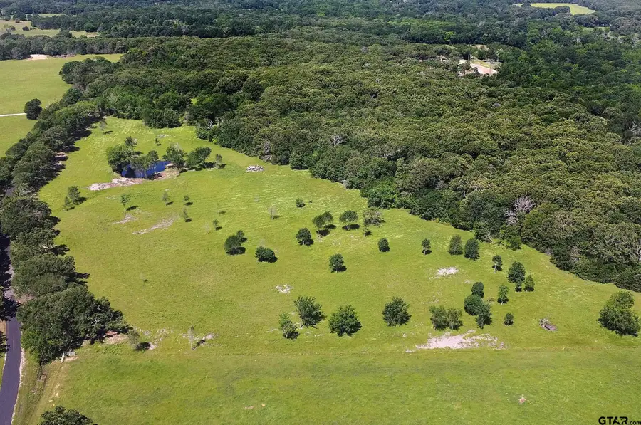 TBD 003 VZ County Road 1805, Grand Saline, TX 75140 - Image #2