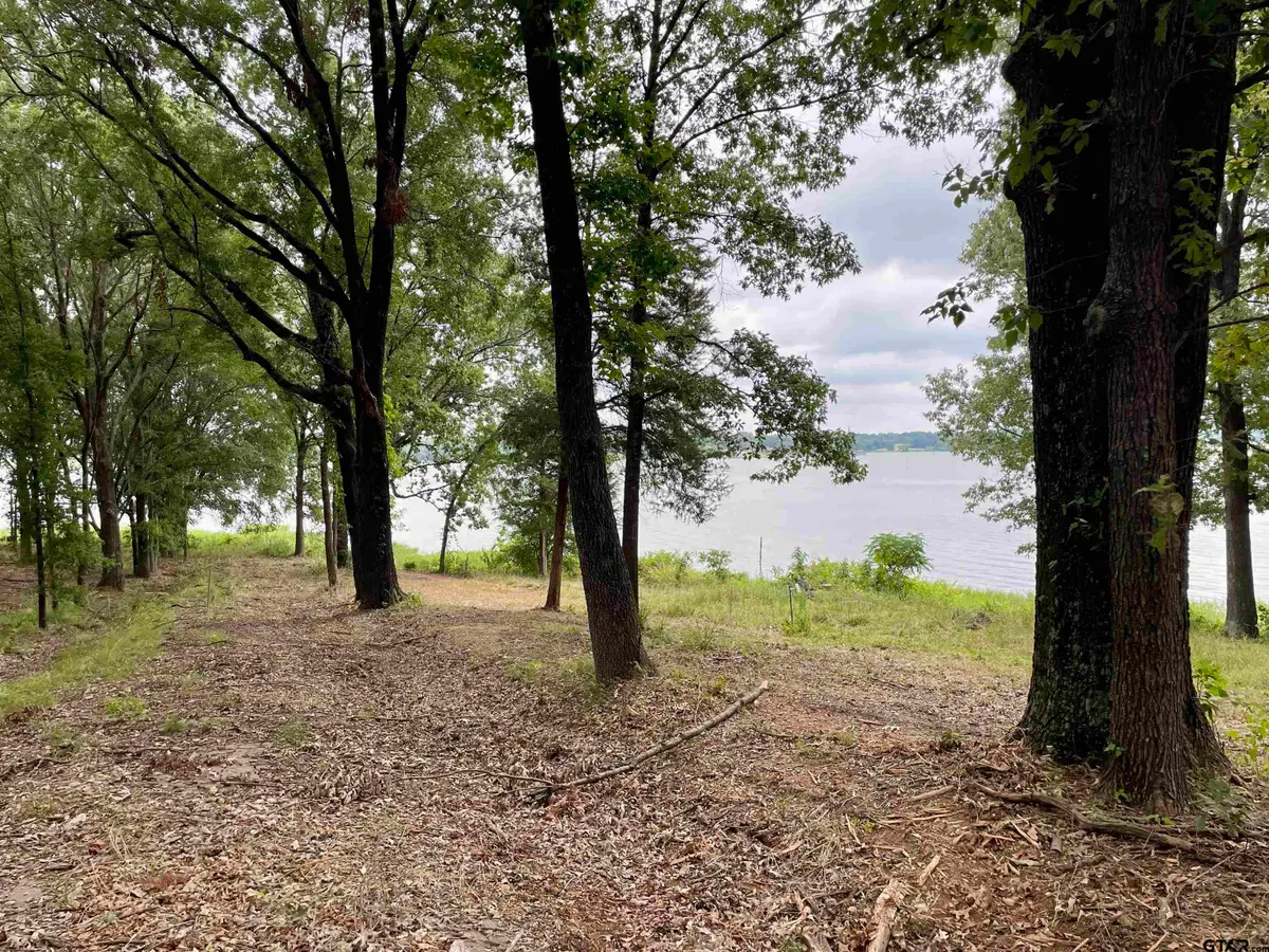 101 Sterling Shores Drive, Scroggins, TX 75480 - #1