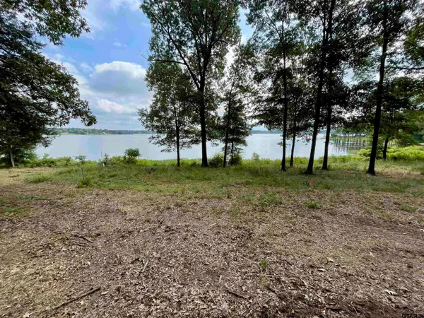 101 Sterling Shores Drive, Scroggins, TX 75480