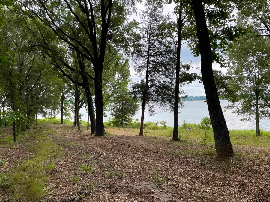 101 Sterling Shores Drive, Scroggins, TX 75480 - #3