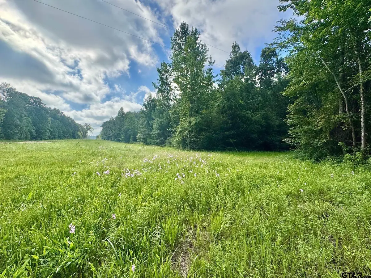 TBD CR 369, Winona, TX 75792 - Image #1