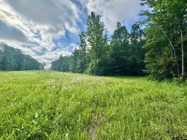 TBD CR 369, Winona, TX 75792