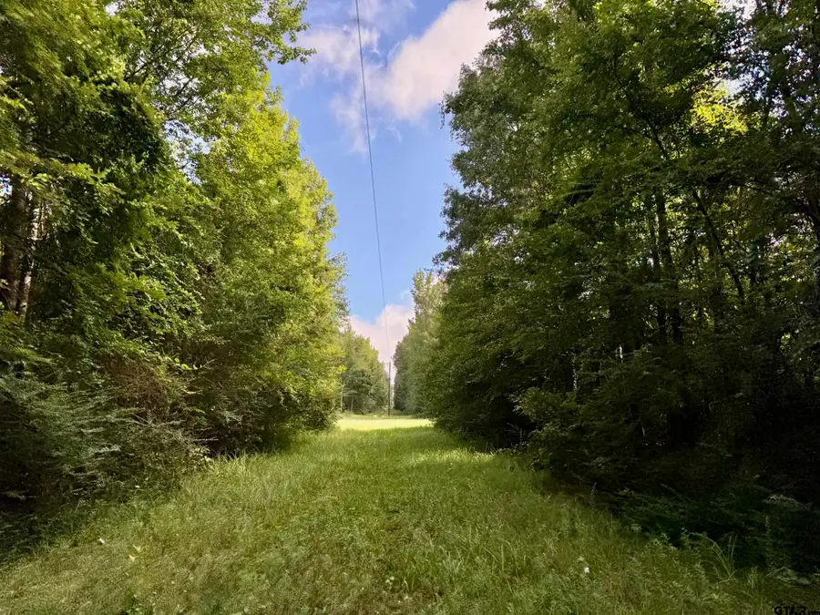 TBD CR 369, Winona, TX 75792 - Image #2