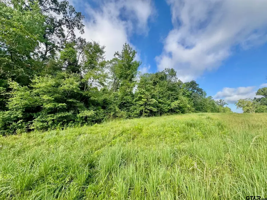 TBD CR 369, Winona, TX 75792 - Image #3