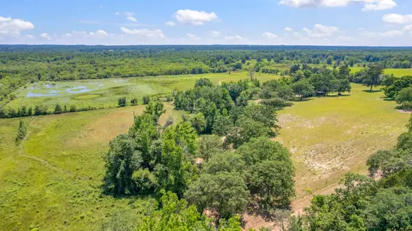 12250 CR 3513, Brownsboro, TX 75756