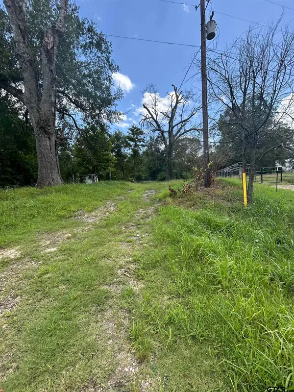 6447 State Hwy 155, Gilmer, TX 75645