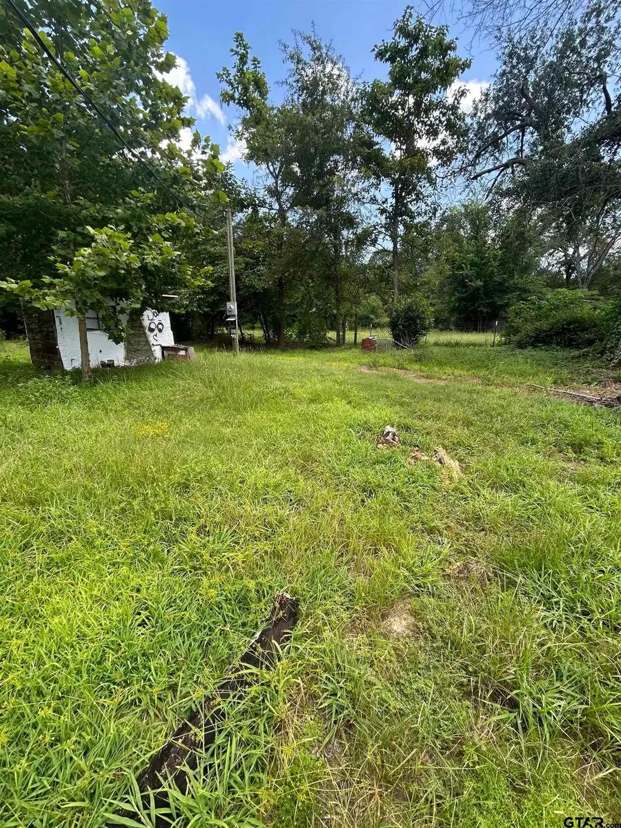 6447 State Hwy 155, Gilmer, TX 75645 - Image #3