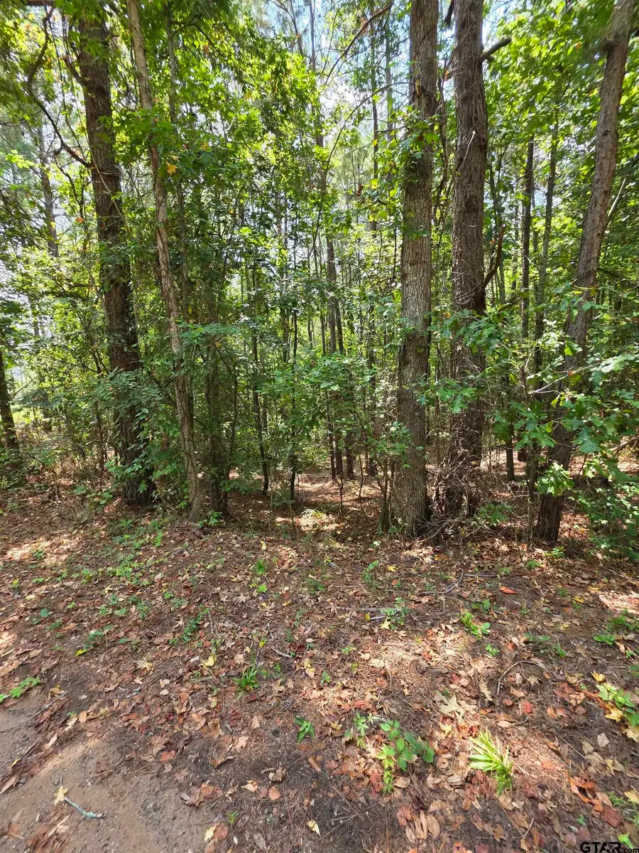 TBD County Road 3267, Mount Enterprise, TX 75681 - Image #3