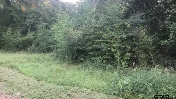 TBD County Road 4105, Jacksonville, TX 75766