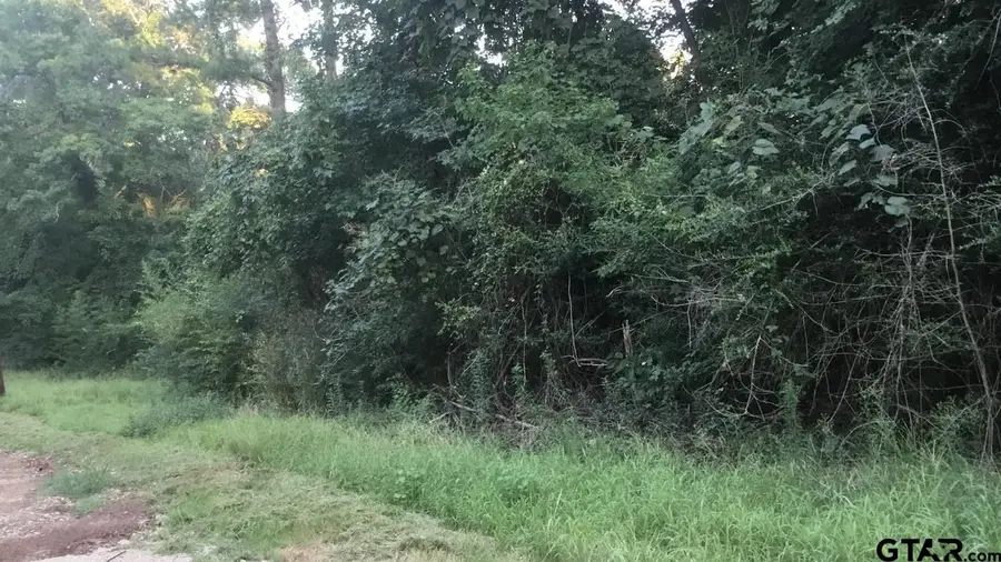 TBD County Road 4105, Jacksonville, TX 75766 - Image #2