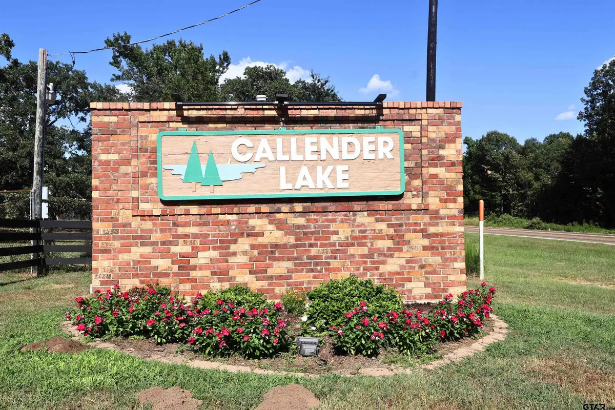 239 Briar Valley Dr, Callender Lake, TX 75778 - #1