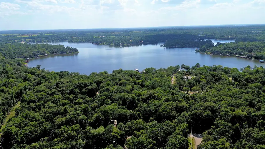 239 Briar Valley Dr, Callender Lake, TX 75778 - #2