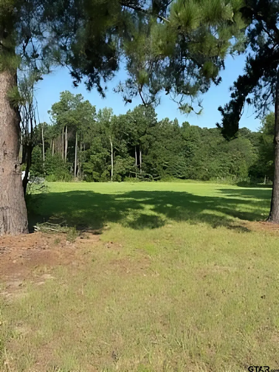 405 Joy Street, Troup, TX 75789 - Image #2