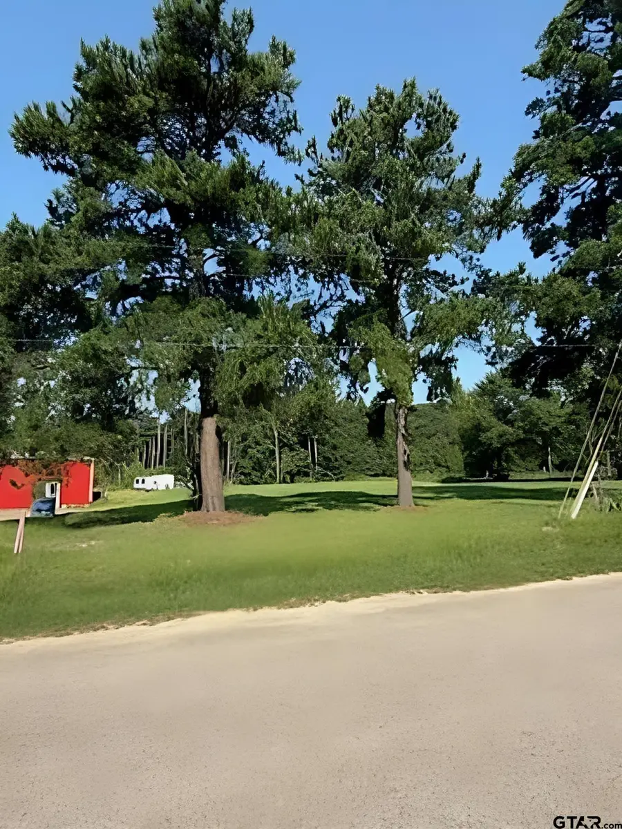 405 Joy Street, Troup, TX 75789 - Image #3