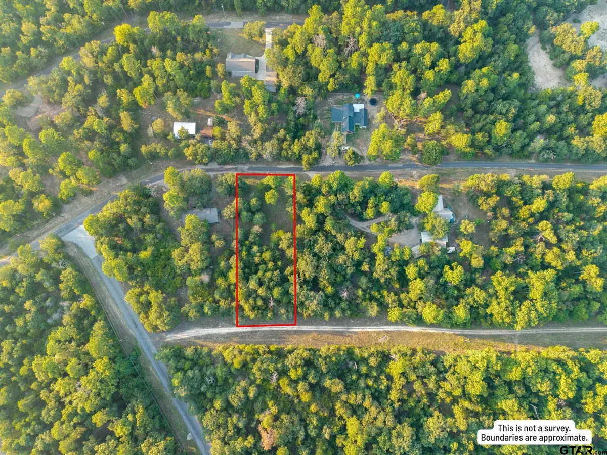 Lots 2,3,47,48 Kings Country Blvd, Scroggins, TX 75480 - Image #1