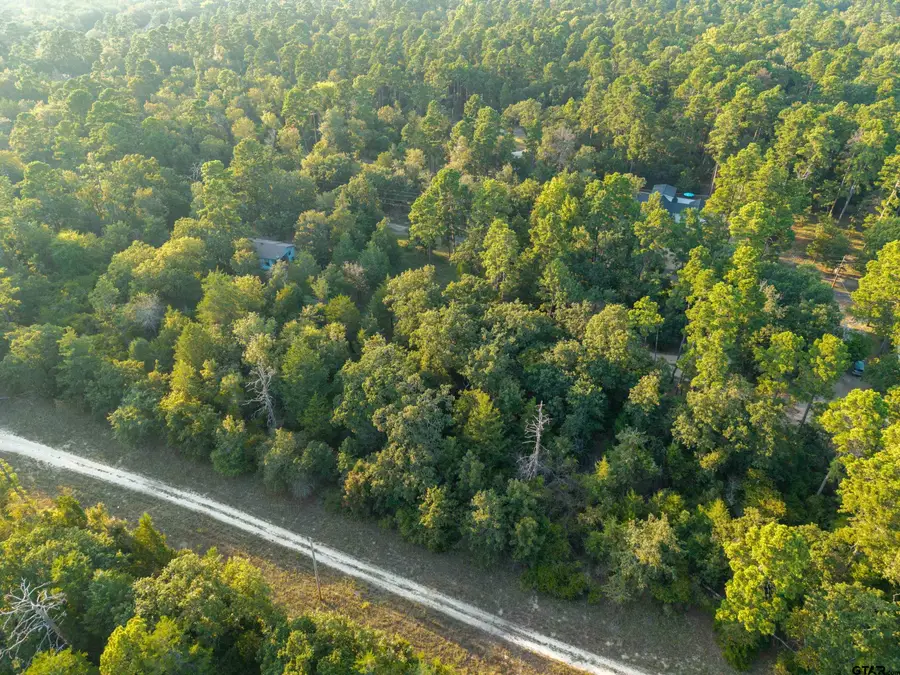 Lots 2,3,47,48 Kings Country Blvd, Scroggins, TX 75480 - Image #2