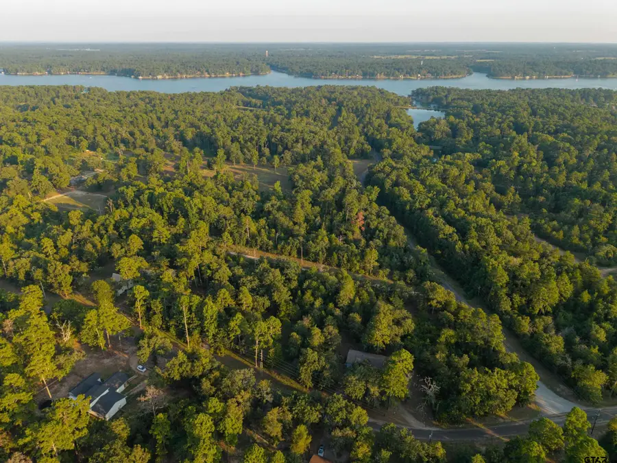 Lots 2,3,47,48 Kings Country Blvd, Scroggins, TX 75480 - Image #3