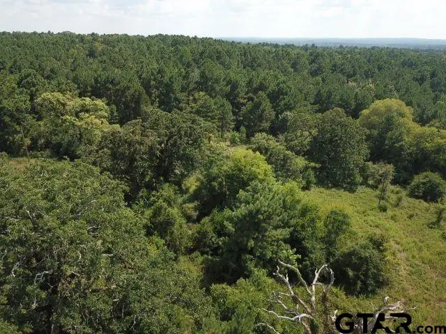 TBD COUNTY ROAD 2218, Rusk, TX 75785 - Image #3