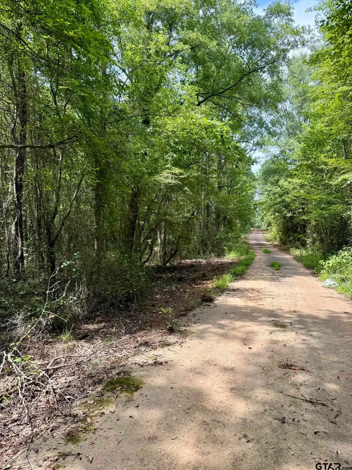 TBD County Road 3408, Jefferson, TX 75657 - Image #1