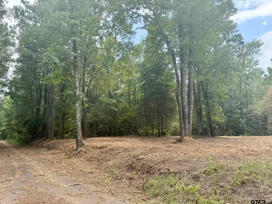 TBD County Road 3408, Jefferson, TX 75657 - Image #3