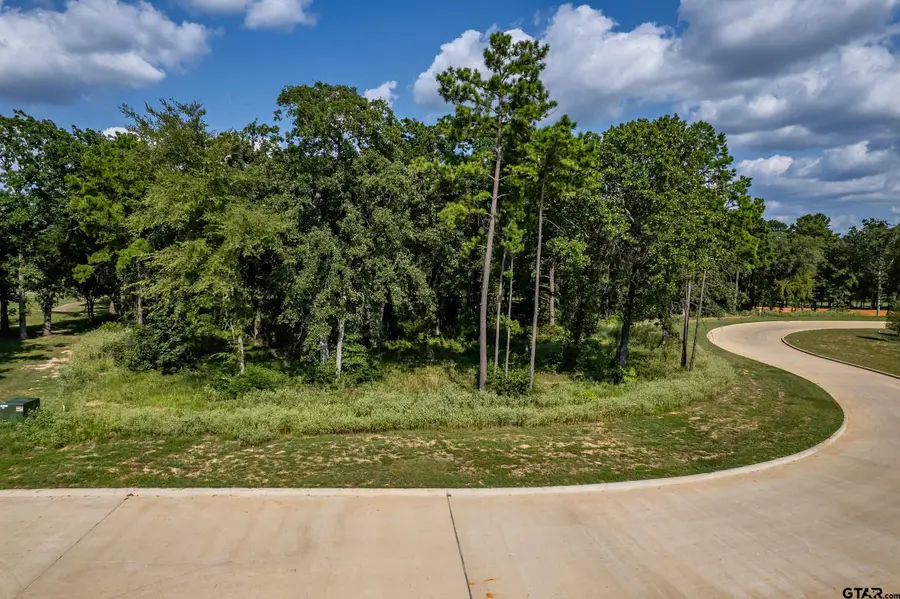 Lot 2 Deer Lake Lane, Bullard, TX 75757 - Image #2