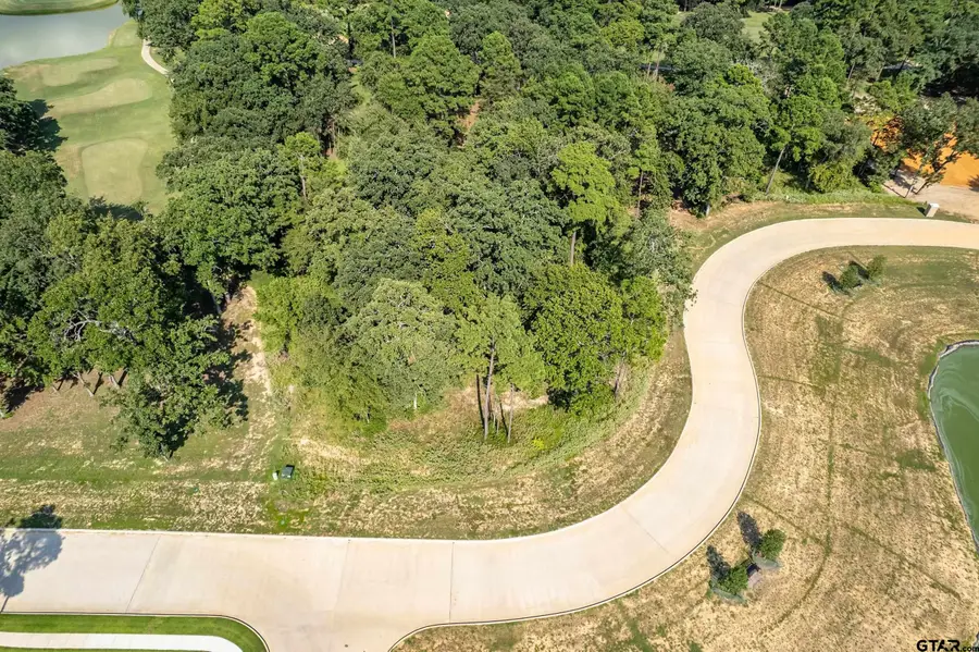 Lot 2 Deer Lake Lane, Bullard, TX 75757 - Image #3