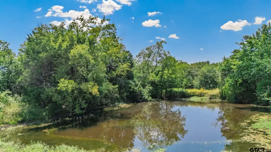 47 Acres Farm Road 275, Cumby, TX 75433 - Image #2