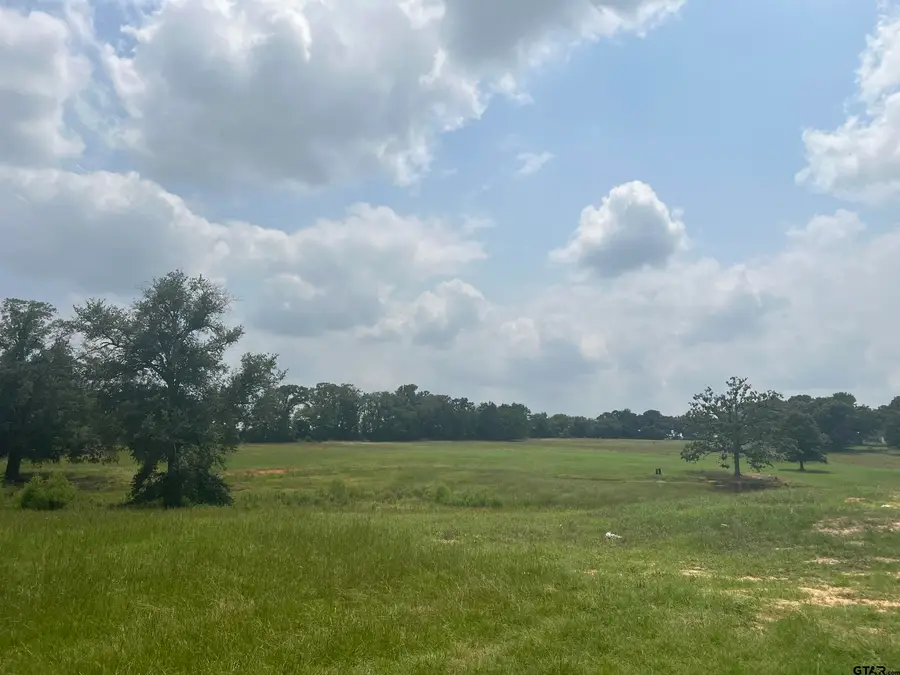 Lot 8 Fm 315, Chandler, TX 75758 - #2