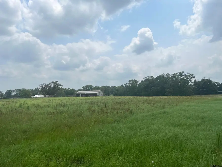 Lot 21 cr 3312, Chandler, TX 75758 - Image #3