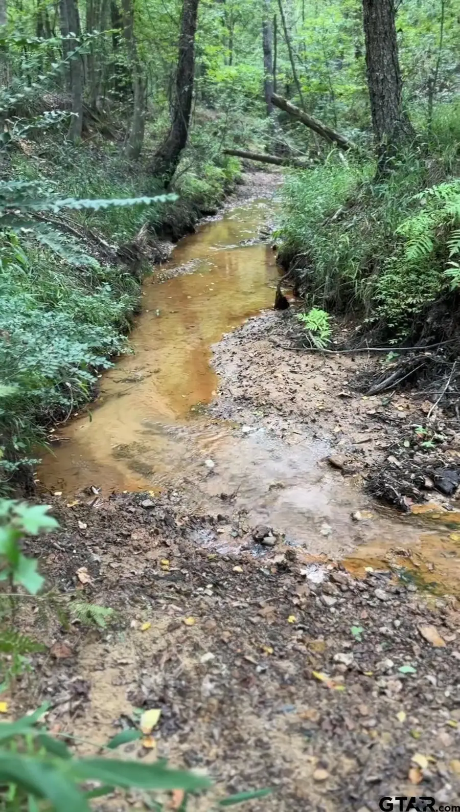 TBD CR 3214, Jacksonville, TX 75766 - Image #3