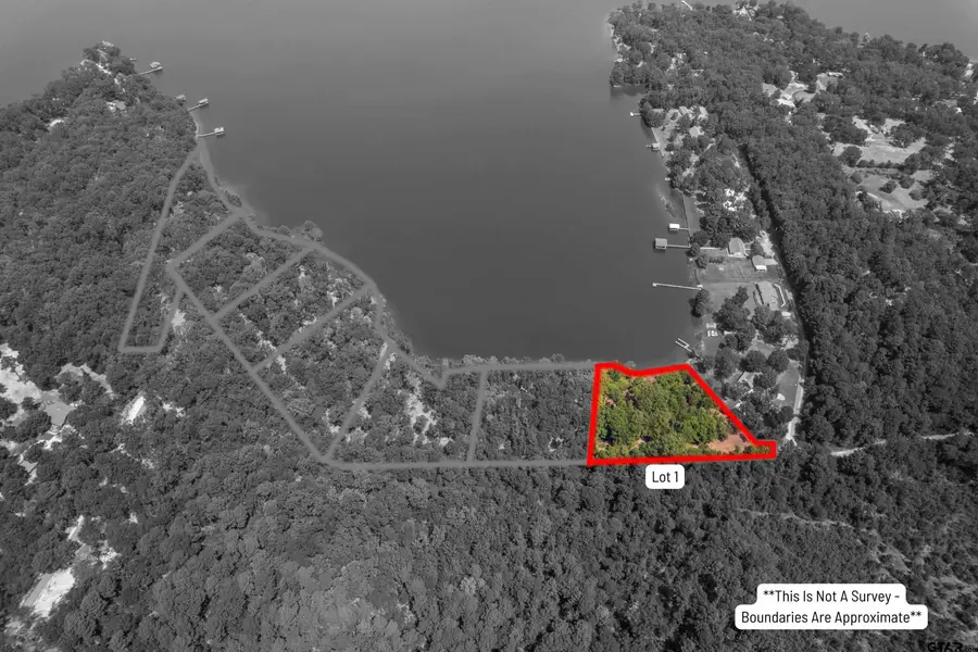 Lot 1 Big Oaks, Leesburg, TX 75451 - Image #3