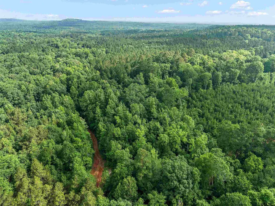 627.07 CR 2509, Alto, TX 75925 - Image #2