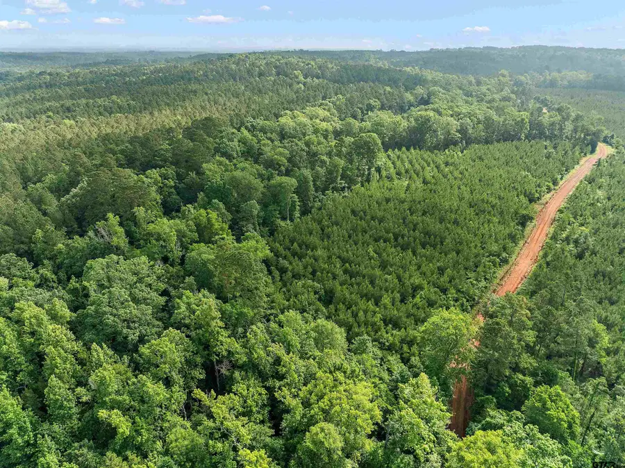 627.07 CR 2509, Alto, TX 75925 - Image #3