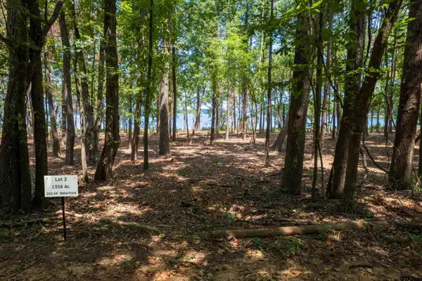 Lot 2 Big Oaks, Leesburg, TX 75451