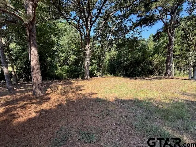 000 000 Kerry Circle, Quitman, TX 75783 - Image #2