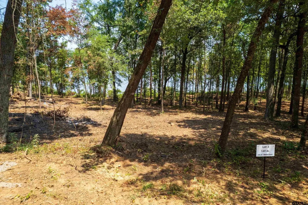 Lot 3 Big Oaks, Leesburg, TX 75451 - Image #1