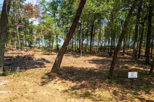 Lot 3 Big Oaks, Leesburg, TX 75451