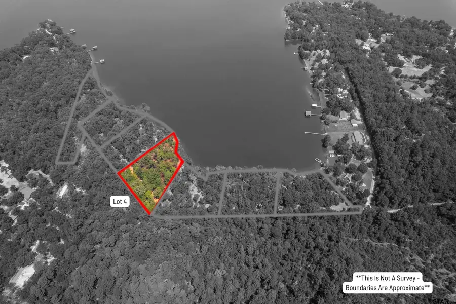 Lot 4 Big Oaks, Leesburg, TX 75451 - Image #3