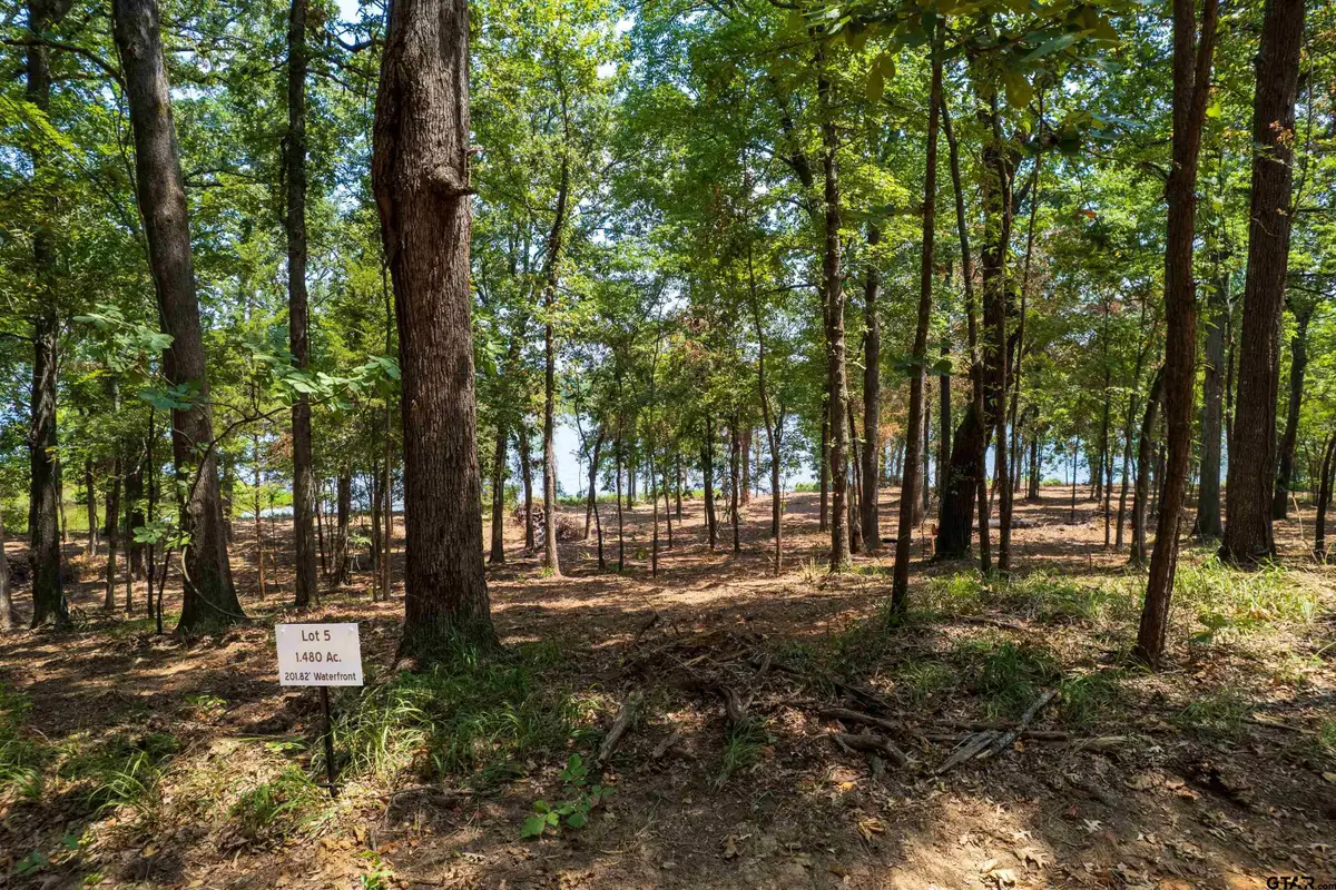 Lot 5 Big Oaks, Leesburg, TX 75451 - Image #1