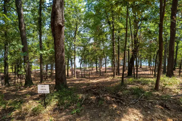 Lot 5 Big Oaks, Leesburg, TX 75451