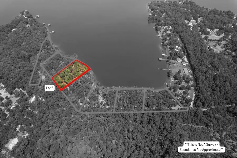 Lot 5 Big Oaks, Leesburg, TX 75451 - Image #3