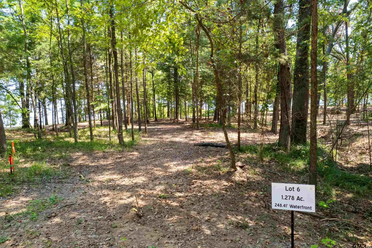 Lot 6 Big Oaks, Leesburg, TX 75451 - Image #1