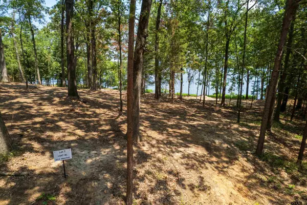 Lot 7 Big Oaks, Leesburg, TX 75451