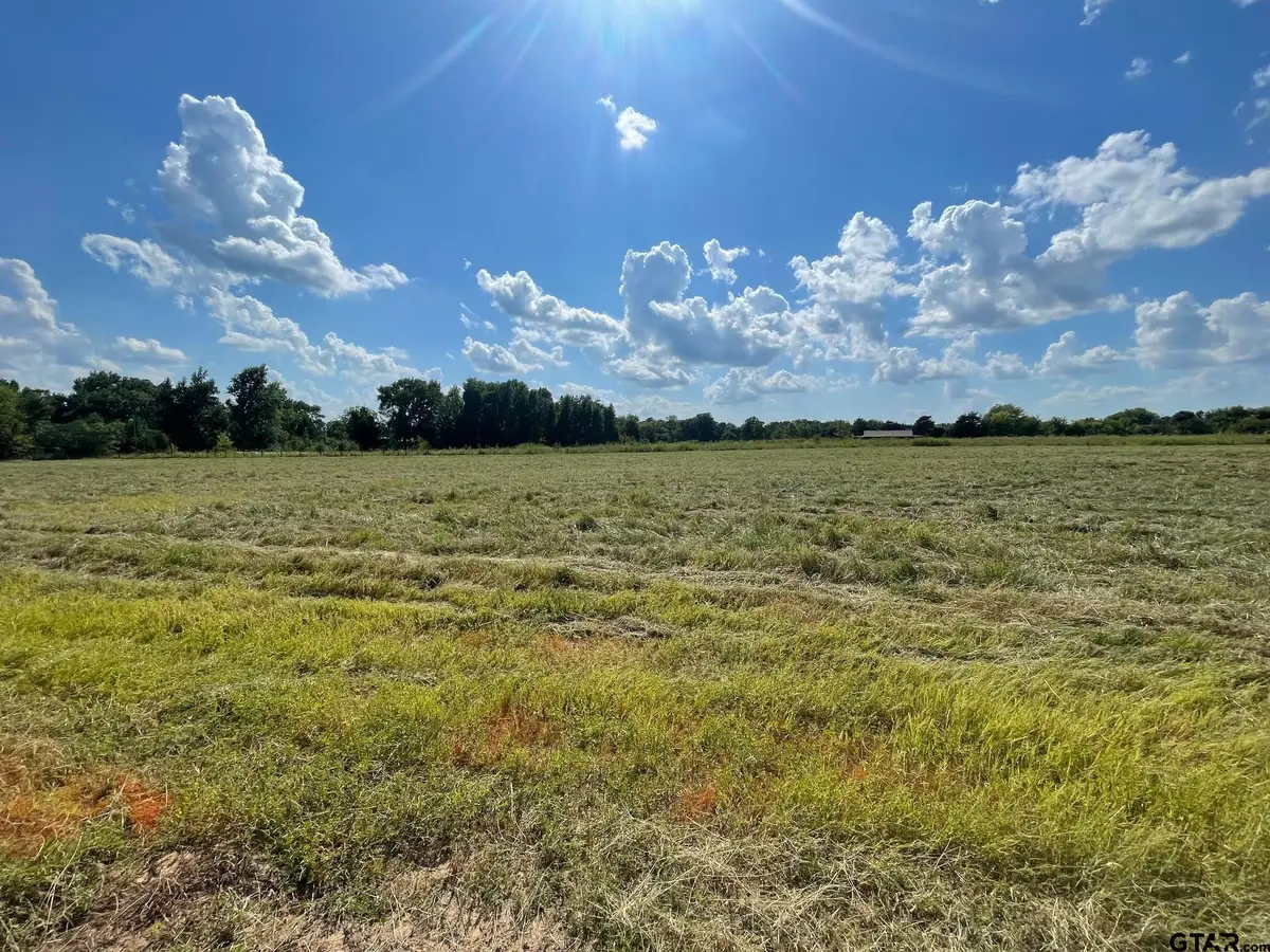 000 County Road 2375, Alba, TX 75410 - Image #1