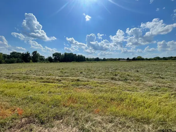 000 County Road 2375, Alba, TX 75410