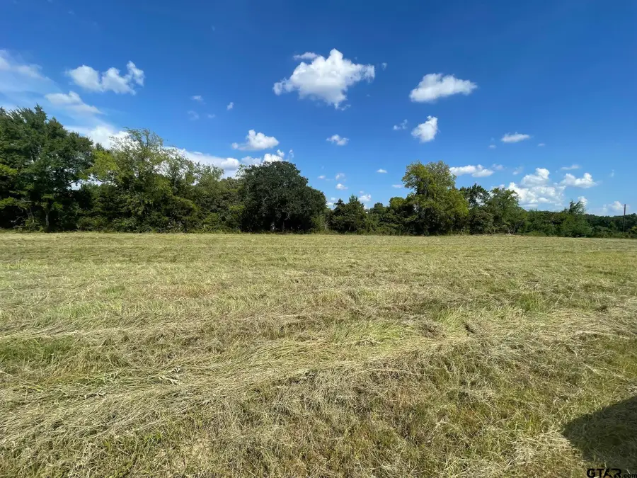 000 County Road 2375, Alba, TX 75410 - Image #3